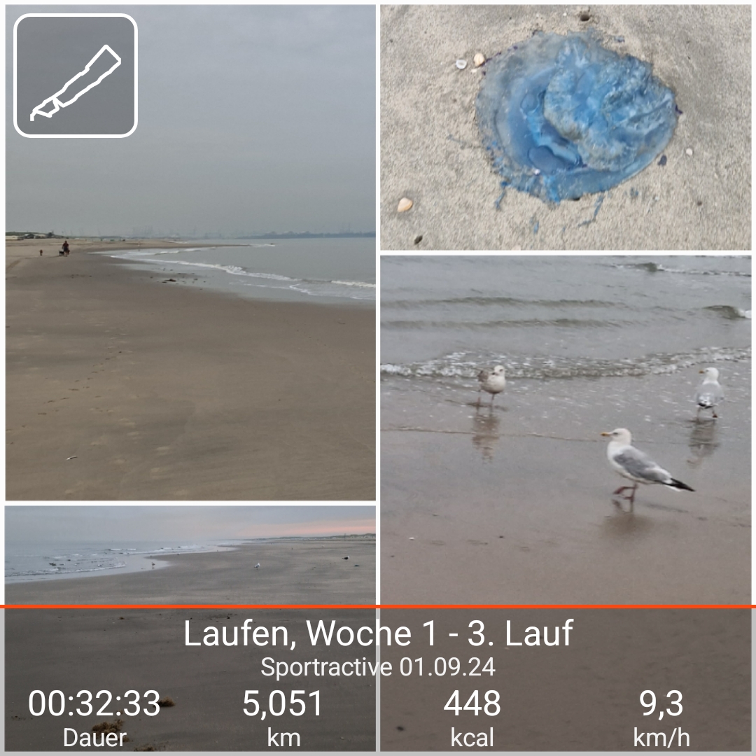 Woche 1 - 3. Lauf