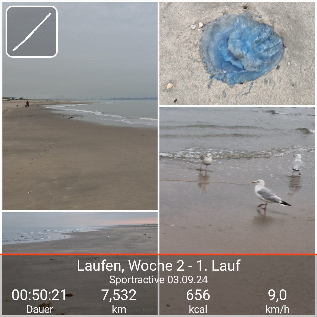 Woche 2 - 1. Lauf